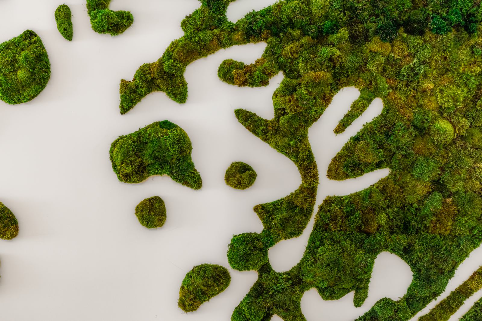 Alina Residences Residence View 9