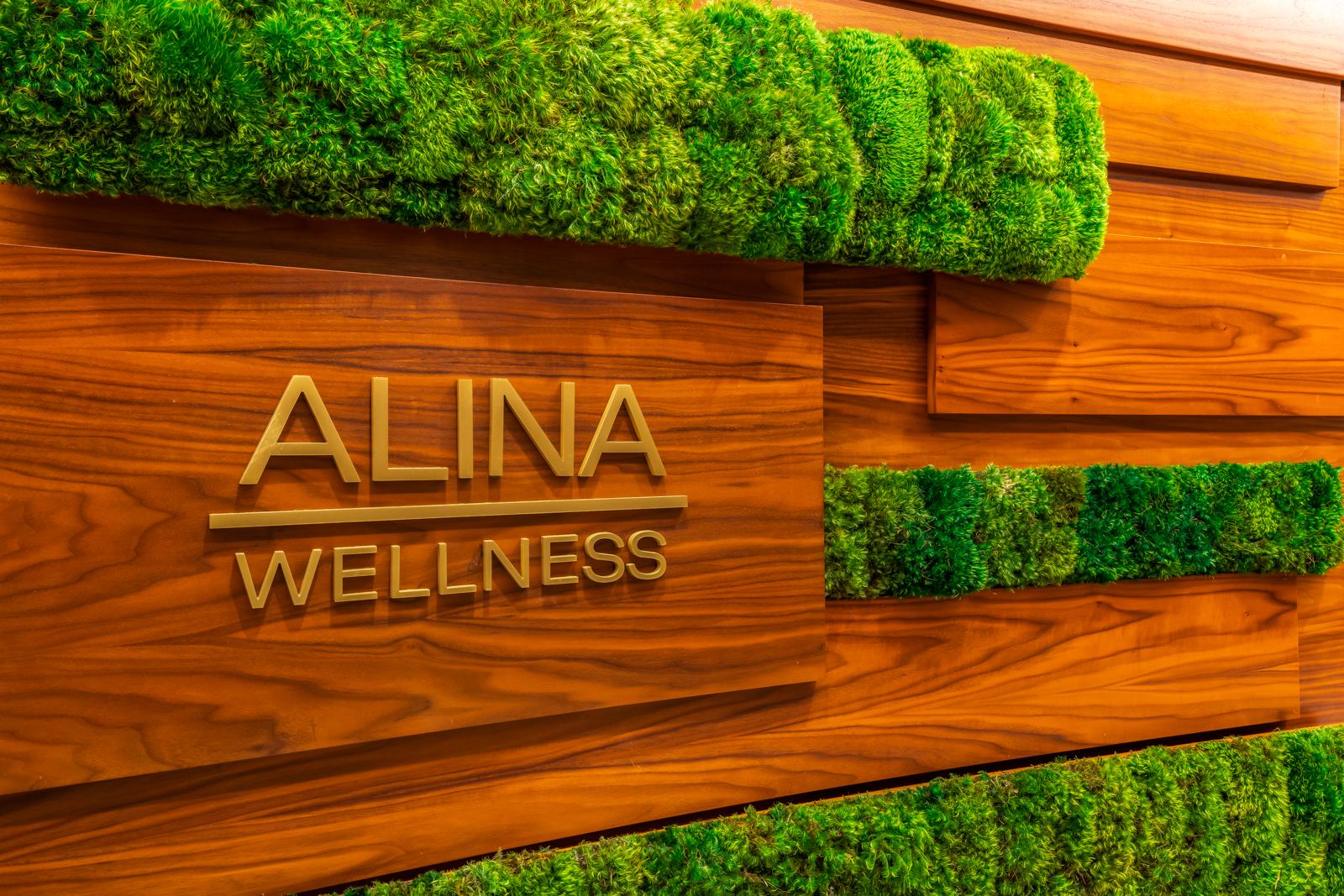 Alina Residences Residence View 6