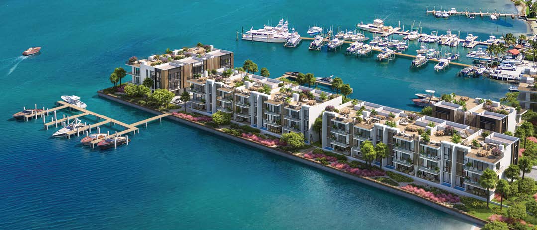 Forté Luxe Peninsula Site Aerial