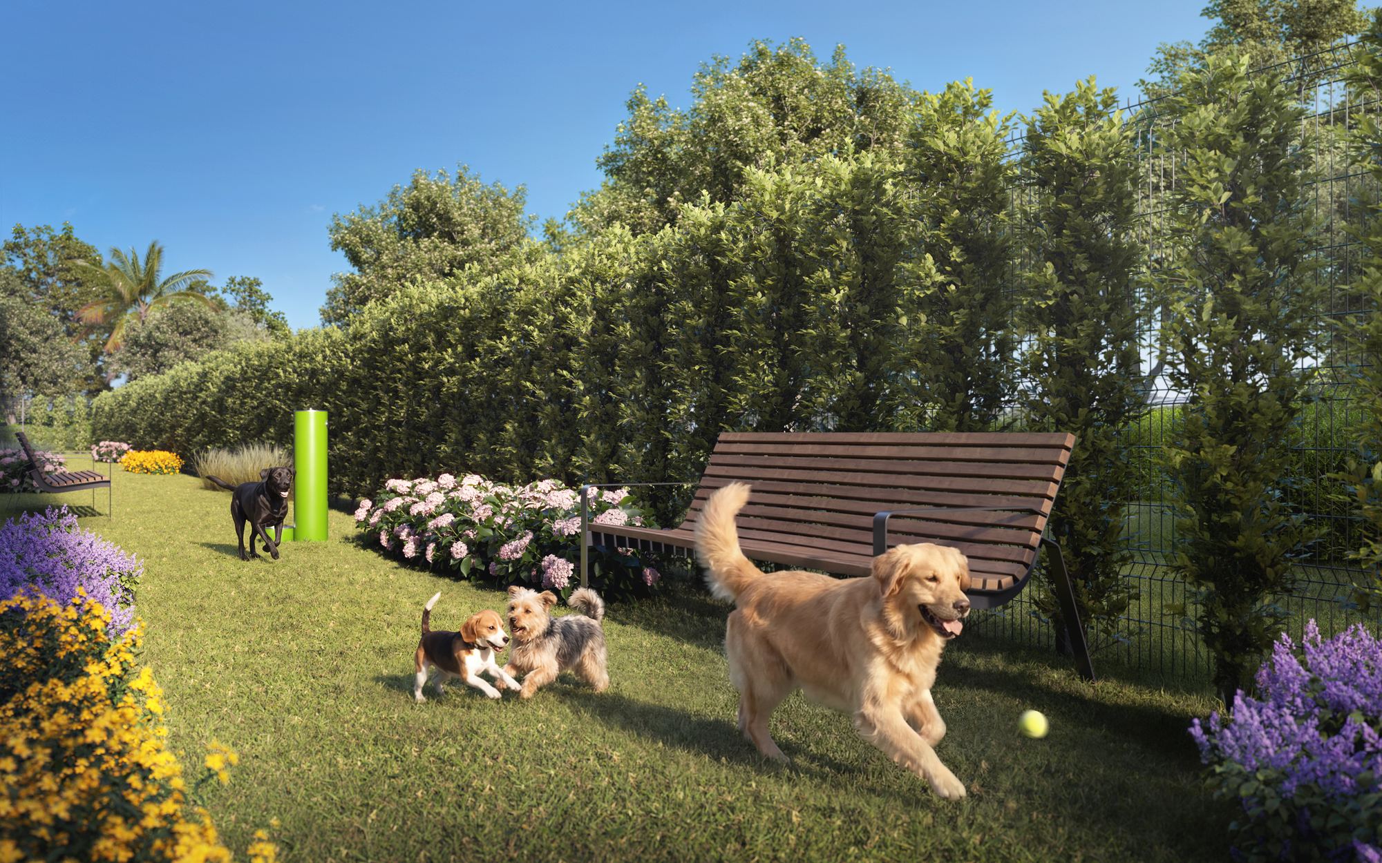 Seventeen Gables Doggie Park R02