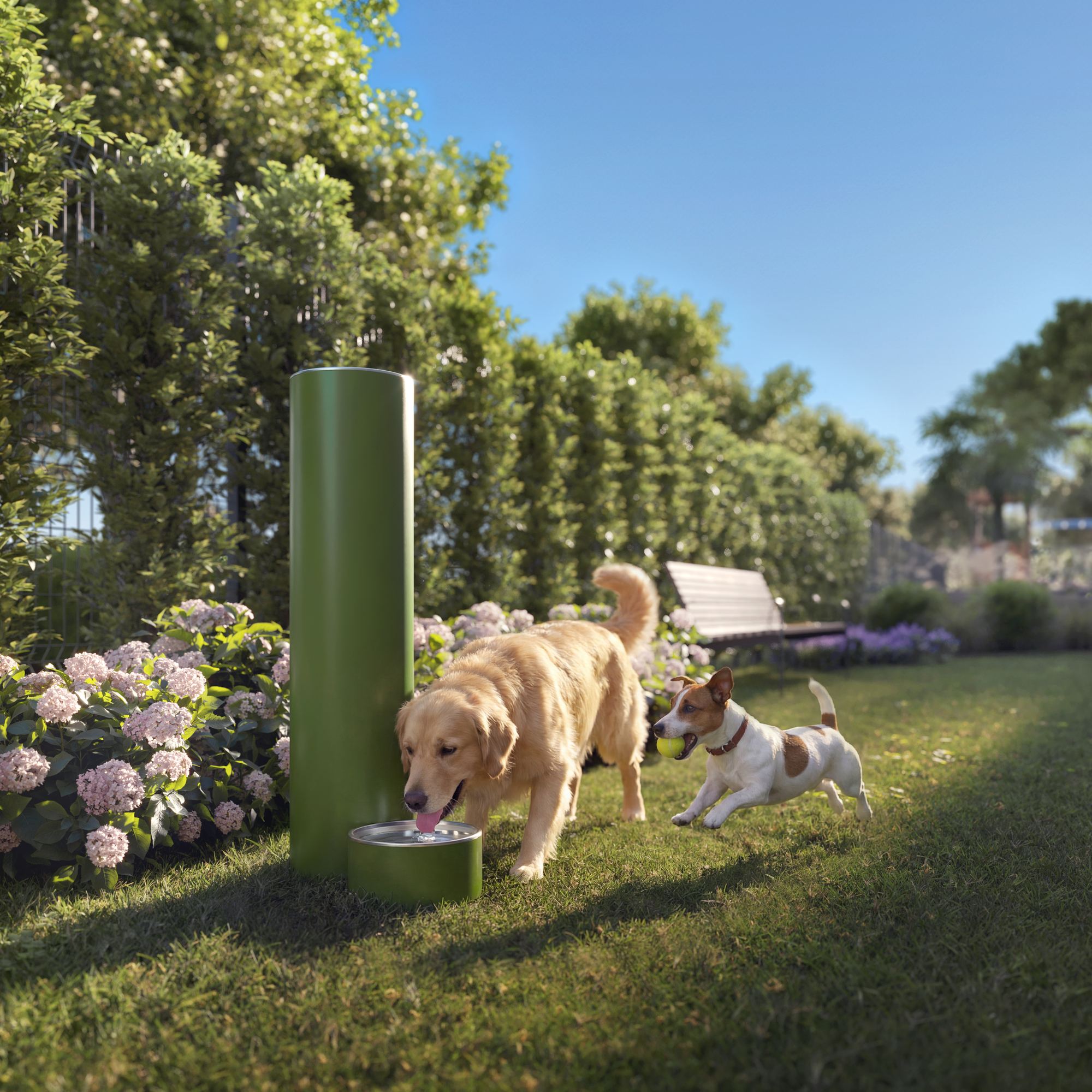 Seventeen Gables Extra Doggie Park R02