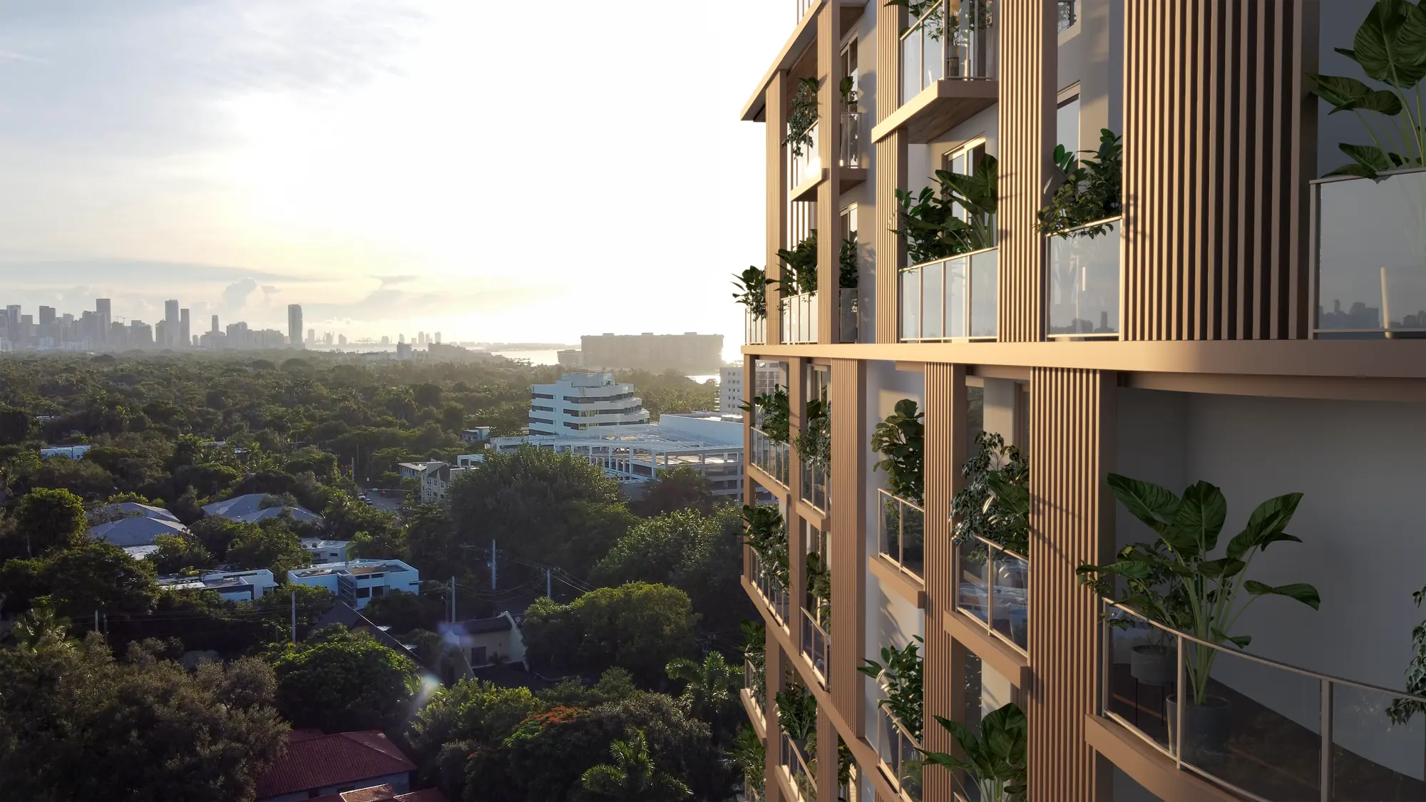 The Lincoln Coconut Grove View