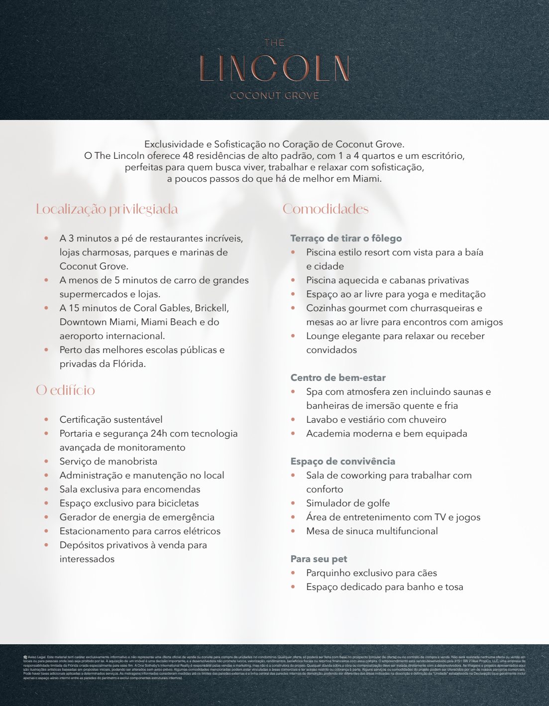 The Lincoln Fact Sheet Portugese Unbranded
