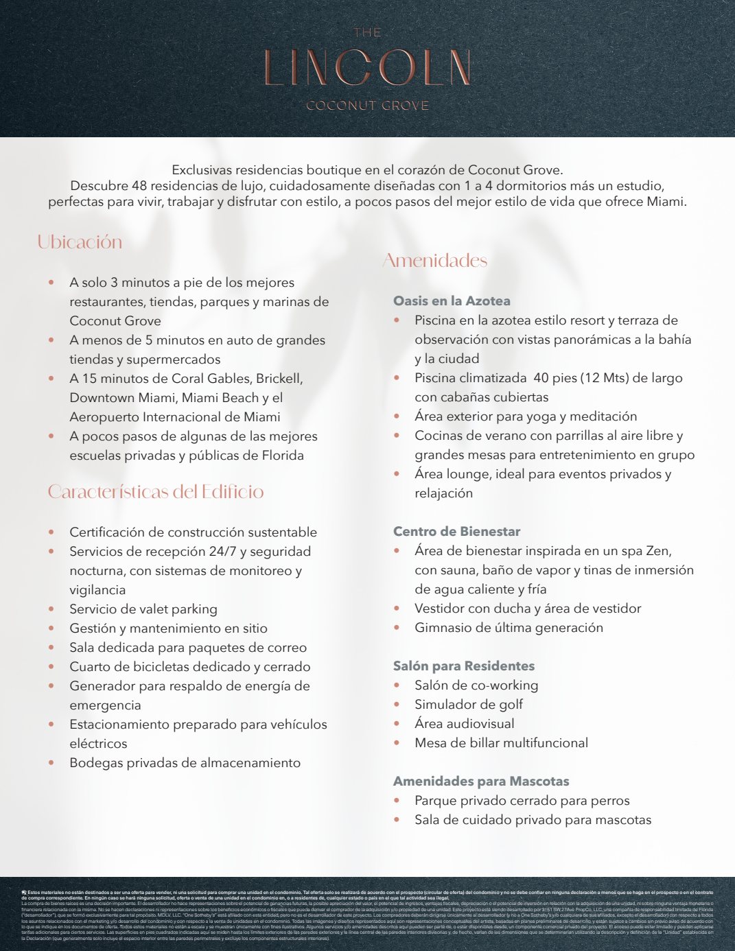 The Lincoln Fact Sheet Spanish Unbranded